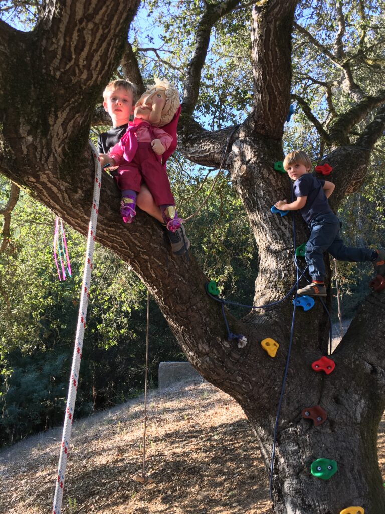 Make Believe Gallagher climbs a tree