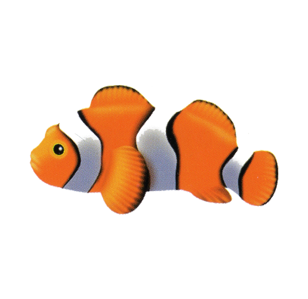 Splash Zone Videos Linda Arnold Music